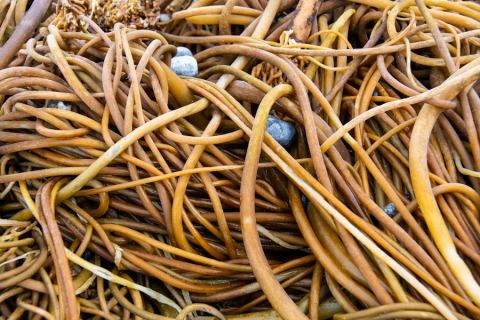 Copper cabling recovered for recycling